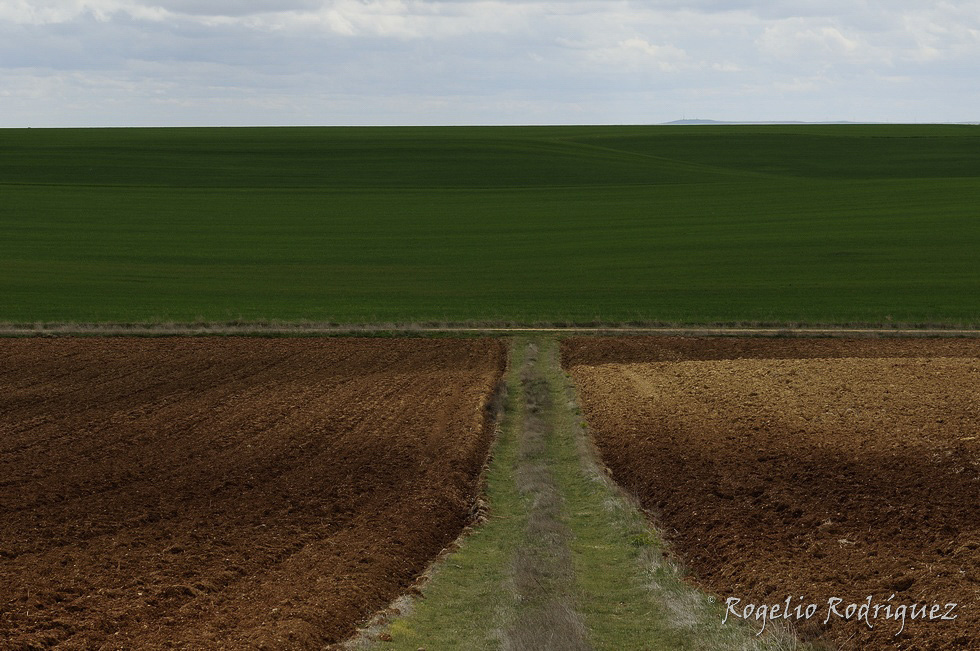 Imagen 5 de la galería de La Meseta